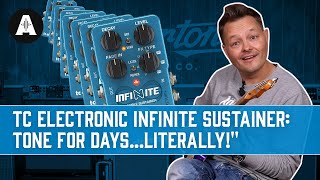 TC Electronic Infinite Sample Sustainer  Capture The Moment and Make A Soundscape [upl. by Anazraf]