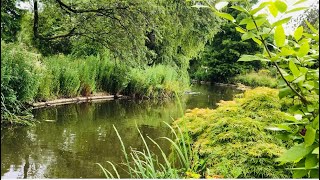 Regent’s Park in London Beautiful and natural view in London [upl. by Llerihs371]