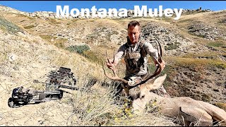 Montana Mule Deer Hunting 2024 [upl. by Grethel]