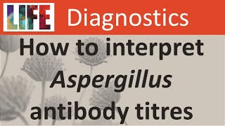 How to interpret Aspergillus antibody IgG titres for chronic aspergillosis [upl. by Pharaoh426]