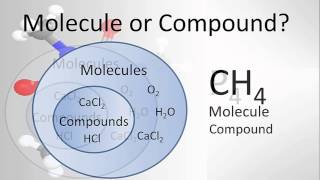 Molecule vs Compound Examples and Practice [upl. by Enak]