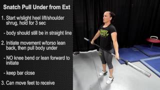 Snatch Pull Under from Ext [upl. by Alletse]