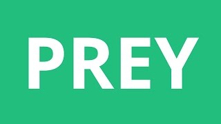 How To Pronounce Prey  Pronunciation Academy [upl. by Ailekahs711]