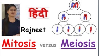 Mitosis Versus Meiosis  Cell Cycle amp Cell division  Key Differences b\w Mitosis amp Meiosis [upl. by Poppas]