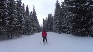 Vatra Dornei ski partia Dealu Negru [upl. by Anniken310]