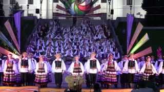 Polonez  Jubileusz 65lecia ZPiT quotLublinquot im W Kaniorowej Lublin 22062013 [upl. by Aihseyn]