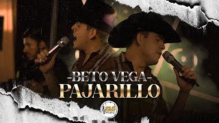 Beto Vega  Pajarillo En Vivo [upl. by Daniell]