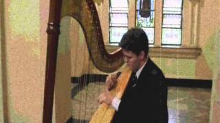 Abels theme  Harp Jonathan Faganello [upl. by Barnebas]