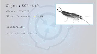 EPISODE 9  SCP439  La ruche osseuse [upl. by Novello]