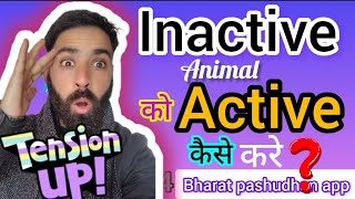 Inactive animal Solution in bharat pashudhan app पर inactive animal क्यो active कैसे करे [upl. by Amron]