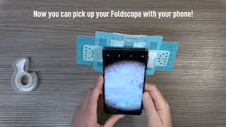 Foldscope viewing methods [upl. by Pitts741]