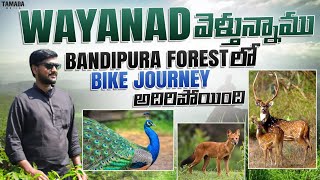 Wayanad వెళ్తున్నాము  Bike Journey In Bandipura and Muthanga Forest  Tamada media [upl. by Anailuy]