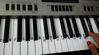 Prem ratan dhan payo Keyboard Tutorial Harmonium Piano Slow Beginners [upl. by Huxham]