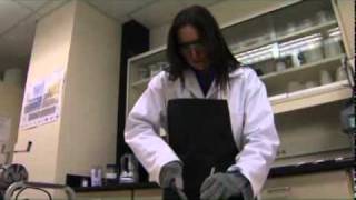 Proximate Analysis  Sample Preparation [upl. by Eiltan810]