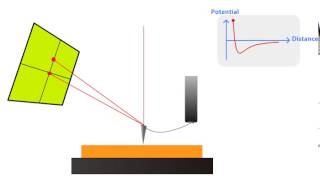 AFM Principle  How AFM Works [upl. by Danette]