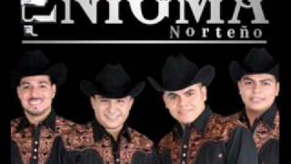 enigma norteno elondeado ylapecheraajustada [upl. by Brandyn]