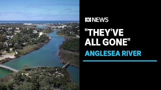 Anglesea River is wearing cost of mine pit rehabilitation locals fear  ABC News [upl. by Enilemme213]