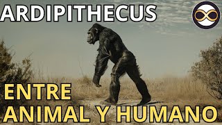 La Evolución de mono a humano  ARDIPITHECUS [upl. by Hach]