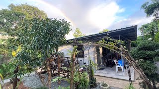 GARDEN TOUR BEFORE AND AFTER AFTER 3 YEARS BUHAY PROBINSYA PHILIPPINES [upl. by Novahc]