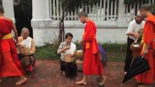 Luang Prabang Alms Giving Ceremony Tak Bat Monks Walk Laos  Asia OOAworld [upl. by Ariahay]