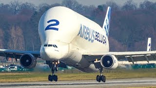 AIRBUS BELUGA  The WEIRDEST PLANE in the WORLD Landing Go Around and Departure 4K [upl. by Aid]