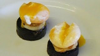 How to cookSCALLOPS Pan fried Scallopswith Black Pudding and a melting poached Egg yolk [upl. by Yllatan]