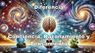 Conciencia universal cómo todo está vivo y conectado [upl. by Eimiaj]