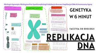 Replikacja DNA  Genetyka  podstawy  Biologia 8 klasa  Film edukacyjny  Lekcja online [upl. by Nosyerg550]