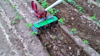 Easy Make Inter cultivator for vegetable and weed control [upl. by Wallack]