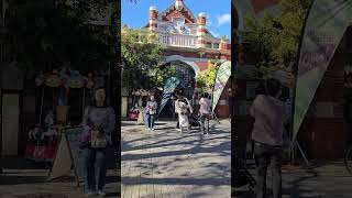 Things to do FREMANTLE  2024 australia westernaustralia travel fremantle freo market live [upl. by Avrit]