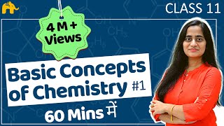 Basic Concepts of Chemistry Class 11 in Hindi [upl. by Goat]