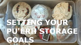 Setting Your Puerh Storage Goals Inbetweenisode 359 [upl. by Svirad]