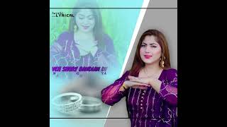 New Saraiki Song Shorts Status  Challa By Gulaab  Part 12 [upl. by Arnst49]