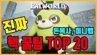 팰월드 만렙찍고 알려주는 리얼 핵꿀팁 TOP 20 팔월드 [upl. by Econah892]