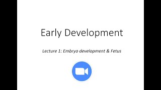 Development fertilization to fetus [upl. by Elledoj]