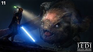 Star Wars Jedi Fallen Order Walkthrough Gameplay Part 11  Gorgara [upl. by Jaal466]