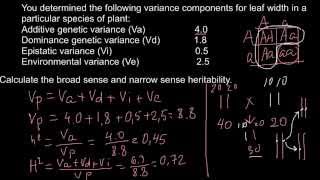 How to calculate Broad sense and narrow sense heritability [upl. by Sly]