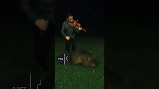 Violin meets Wombat wombat twoset reupload [upl. by Rozek]