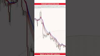 MACD on Chart MT4 Indicator [upl. by Neneek]