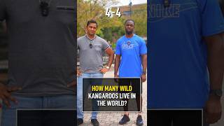 How Many Wild Kangaroos Live in the World [upl. by Lowrance]