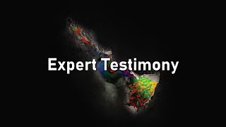 The Mechanisms  The Bifrost Incident  11  Expert Testimony Lyrics [upl. by Nommad]