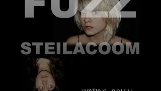 Fuzz Steilacoom  Full Album [upl. by Maletta]