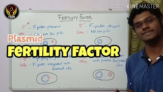 Fertility Factor Plasmid  F F Hfr F Cells  Microbiology  Tamil  ThiNK Biology [upl. by Alton]