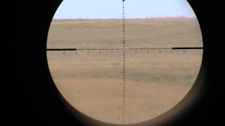 Kahles K624i SKMR through the scope video shooting [upl. by Colt]