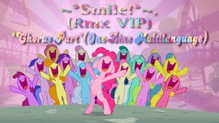 MLP  The Smile Song Foozogz Remix Chorus Part OneLine Multilanguage [upl. by Ahsita231]