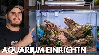 Brazilian Style Aquascape 35L Dennerle Nano Tank einrichten [upl. by Ppik]