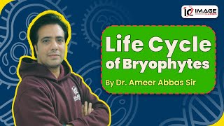 Life Cycle of Bryophytes  Plant Kingdom Class 11  by Dr Ameer Abbas Sir Image Classes [upl. by Shepherd]