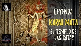 🐀KARNI MATA y el ORIGEN del templo de las RATAS 🐀  Logomaquia [upl. by Trimmer]