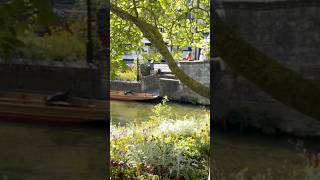 A day in Canterbury ❤️canterbury uk travel travelvlog trends viralshort shortsfeed shorts [upl. by Anaili247]