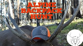 3 Day Pack Hunt For Samber Stags  Alpine Backpack Hunt [upl. by Arrio]